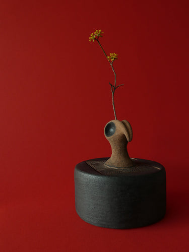 Ceramic box · Fayoum · Sienna and black